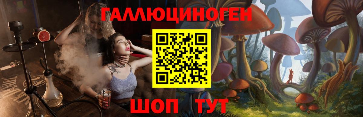 Чита  Галлюциногенные грибы Psilocybe  Вход с VPN 