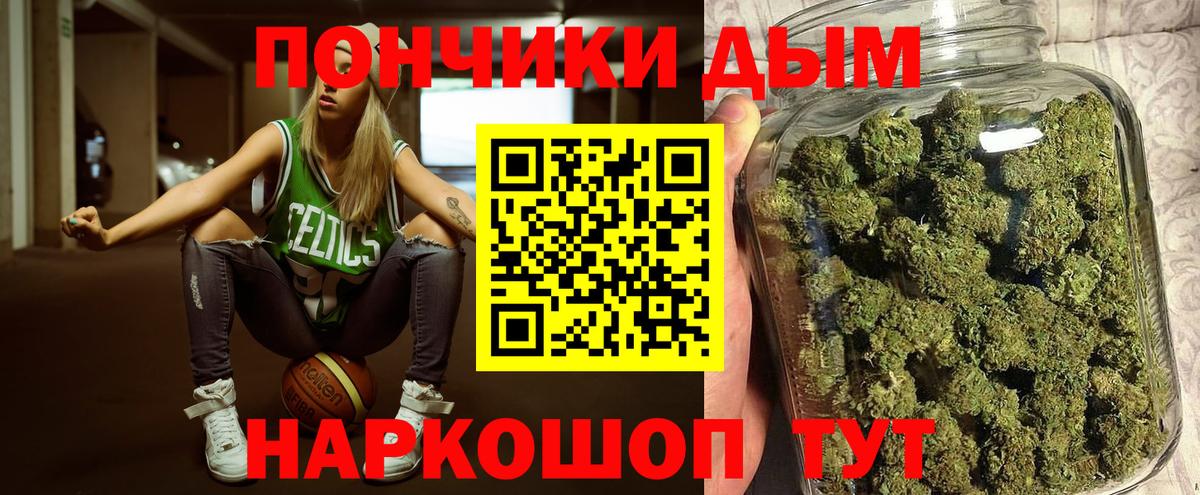 Бошки Шишки планчик  Конопля тримм  Вход с VPN  Чита  Конопля ГИДРОПОН 